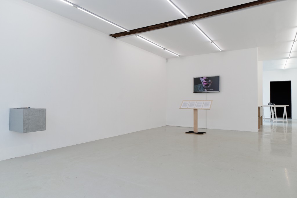 Meiro Koizumi, Vue de l'exposition Theory on the desk, Fondation Kadist, 2014.