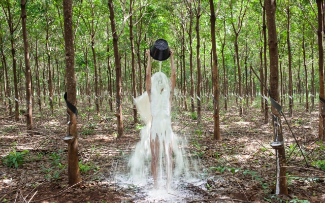 Rubber Man, 2015 Khvay Samnang Installation : 3 vidéos HD, couleur, son,oproduction : Jeu de Paume, Paris, FNAGP et CAPC de Bordeaux. Courtesy de l’artiste. © Khvay Samnang, 2015